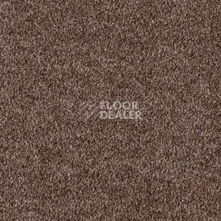 Ковролин AW Parana 44 фото 1 | FLOORDEALER